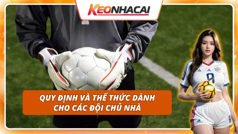 Chủ nhà kỳ Euro 2028 là ai - Thể lệ được UEFA đặt ra cho chủ nhà