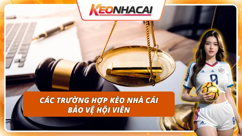 Miễn Trừ Trách Nhiệm 4 Tình huống không áp dụng miễn trừ trách nhiệm từ website