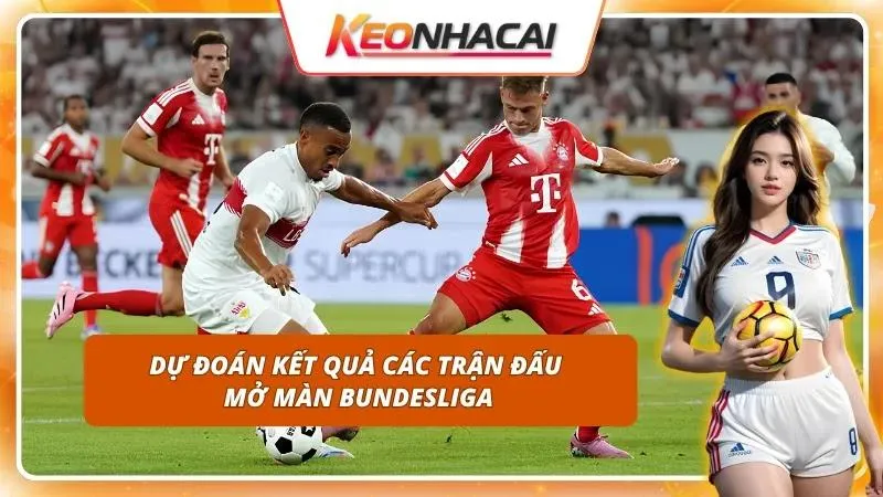 Đưa ra kịch bản trận đấu giúp cược thủ chốt hạ mã kèo tiềm năng